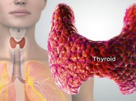 Избегайте таблеток. Обратные проблемы со щитовидной железой с определенными питательными веществами и травами