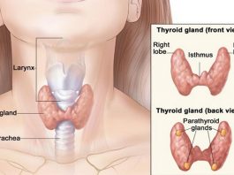 Как ухаживать за щитовидной железой при гипотиреозе и гипертиреозе. Подробно в видео