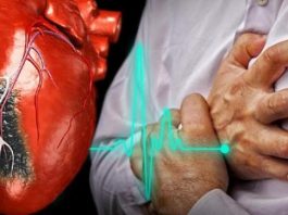 20 продуктов, которые прочистят артерии и защитят от сердечного приступа. Ешь их больше – живи дольше