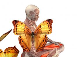 «Бабочка» — СУПЕР упражнение для женского здоровья