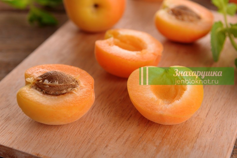 полезные свойства косточек абрикоса