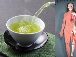 Что происходит с телом, когда вы потребляете зеленый чай