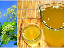 Лимонад из бузины от атеросклероза, чай от простуды и целебный мед — все от болезней спасёт