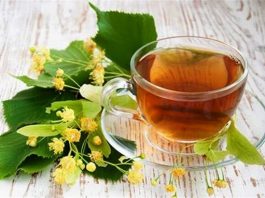 Липовый чай. Полезные свойства, состав, вред и противопоказания