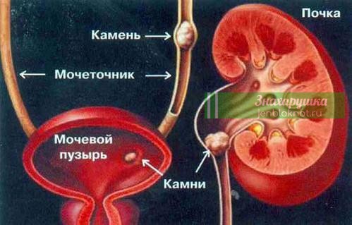 ÐÐ°Ð¼Ð½Ð¸ Ð² Ð¼Ð¾ÑÐµÐ²Ð¾Ð¼ Ð¿ÑÐ·ÑÑÐµ