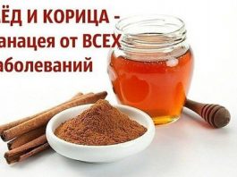 Корица и мед – Полезные свойства и рецепты применения