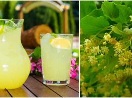 Липовый лимонад — вкуснейший и очень полезный напиток в жару
