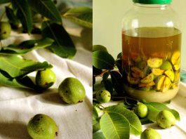 Сироп зеленых грецких орехов с сахаром или медом — удивительно сильное лекарство