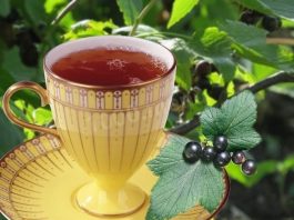 Соберите листья смородины на зиму. 4 причины пить чай из листьев смородины