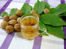 В мае — июне собираем листья грецкого ореха и укрепляем ими здоровье
