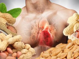 Как оздоровить сердце, бороться с инсультами и раком с помощью арахиса