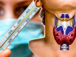 Тест Барнса: как определить здоровье щитовидки с помощью градусника