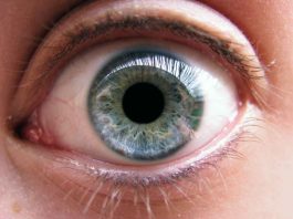 Глаз как «у орла»: 12 уникальных рецептов восстановить зрение
