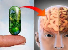 Исследования доказали: эти 3 витамина предотвращают потерю памяти и болезнь Альцгеймера
