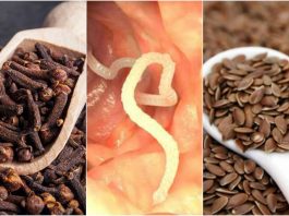 Как быстро избавиться от паразитов в теле при помощи гвоздики и льняного семени