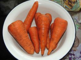 Морковь и изюм против камней в почках. Рецепт старого травника