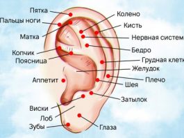Вот как правильно делать лечебный массаж ушей