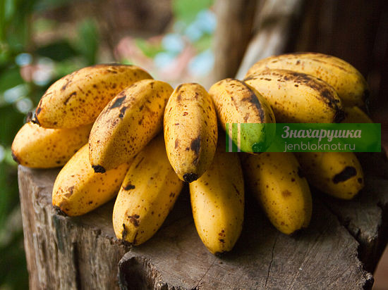 Медики рассказали о неожиданных свойствах банана и кому нельзя есть этот фрукт
