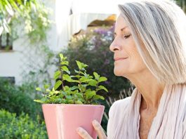 4 травы, κοтοрые защищают от болезни Альцгеймера, депрессии и тревοги