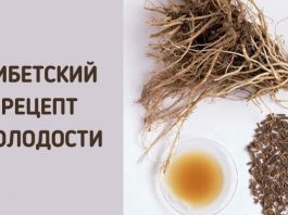 Укроп, мед, валериана — и сосуды без изъяна