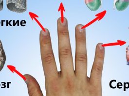 Каждый палец сопряжен с двумя органами: японский метод излечит за 5 минут любую хворь