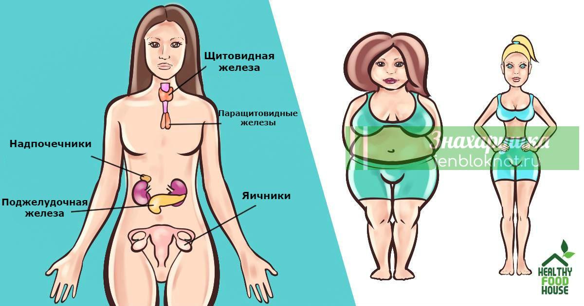 Есть 6 гормонов, которые мешают вам похудеть. Вот что делать с каждым из них