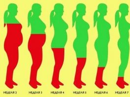 Как растопить лишний жир за 8 недель: стабильный результат без эффекта возврата веса