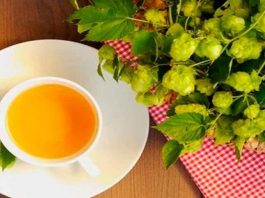 Необыкновенный, но всеми забытый чай: «хмельной чай» для чистых сосудов и крепкого сердца