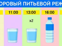 График для худеющих: ешь что хочешь и пей воду по часам. Результат — минус 15 % жира